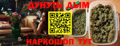 шишки Гатчина