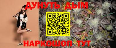 шишки Гатчина