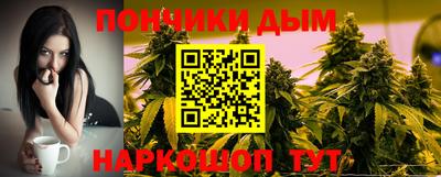 шишки Гатчина