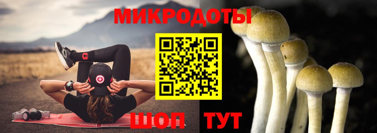 Гусиноозёрск  Галлюциногенные грибы GOLDEN TEACHER  дарнет шоп  Вход с VPN 